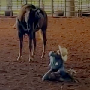 Meet your Posher, Aubrey